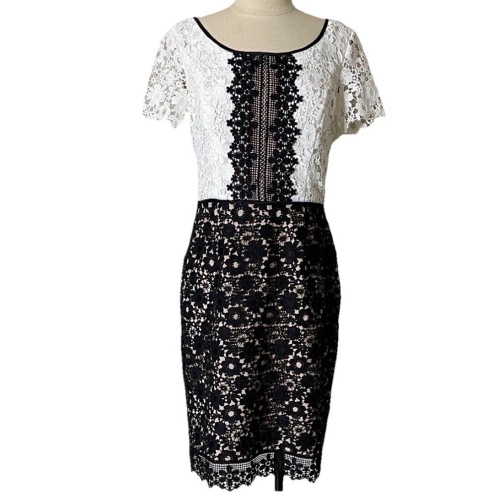 Nue by Shani Black and White Lace Dress